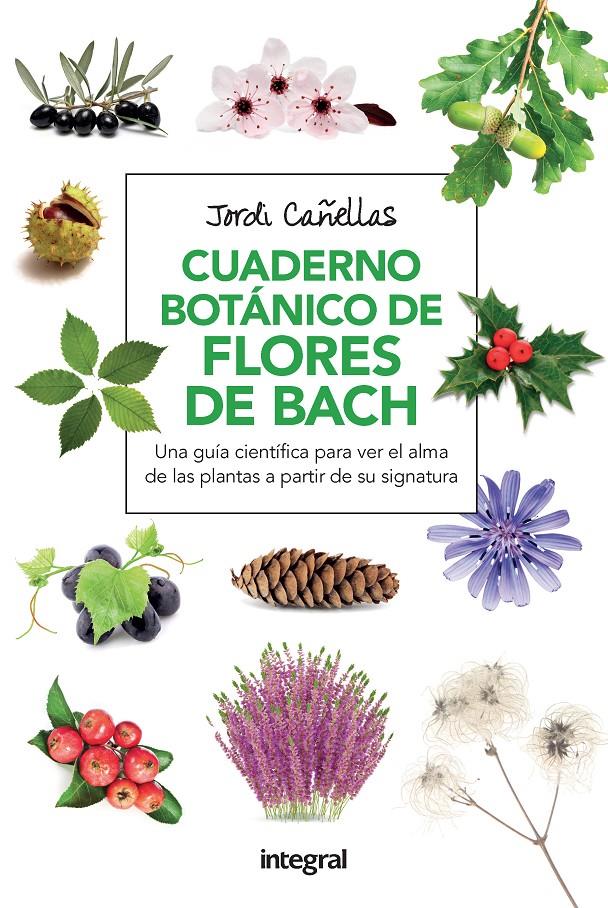 CUADERNO BOTANICO FLORES DE BACH 2ª ED. | 9788491180579 | CANELLAS , JORDI | Llibreria Ombra | Llibreria online de Rubí, Barcelona | Comprar llibres en català i castellà online