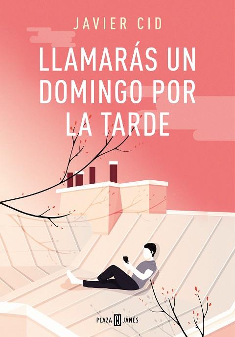 LLAMARÁS UN DOMINGO POR LA TARDE | 9788401019975 | CID, JAVIER | Llibreria Ombra | Llibreria online de Rubí, Barcelona | Comprar llibres en català i castellà online