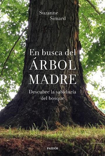 EN BUSCA DEL ÁRBOL MADRE | 9788449338311 | SIMARD, SUZANNE | Llibreria Ombra | Llibreria online de Rubí, Barcelona | Comprar llibres en català i castellà online