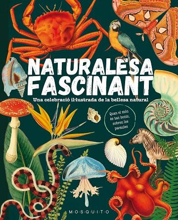 NATURALESA FASCINANT | 9788419095596 | MOSQUITO BOOKS | Llibreria Ombra | Llibreria online de Rubí, Barcelona | Comprar llibres en català i castellà online