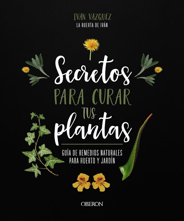 SECRETOS PARA CURAR TUS PLANTAS | 9788441547162 | VÁZQUEZ MUÑOZ, IVÁN | Llibreria Ombra | Llibreria online de Rubí, Barcelona | Comprar llibres en català i castellà online