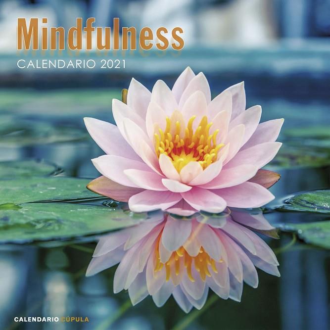 CALENDARIO MINDFULNESS 2021 | 9788448027735 | AA. VV. | Llibreria Ombra | Llibreria online de Rubí, Barcelona | Comprar llibres en català i castellà online