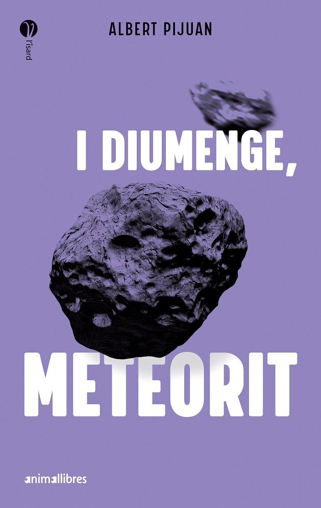 I DIUMENGE, METEORIT | 9788419659415 | ALBERT PIJUAN | Llibreria Ombra | Llibreria online de Rubí, Barcelona | Comprar llibres en català i castellà online