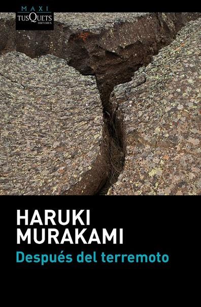 DESPUÉS DEL TERREMOTO | 9788483838891 | MURAKAMI, HARUKI  | Llibreria Ombra | Llibreria online de Rubí, Barcelona | Comprar llibres en català i castellà online