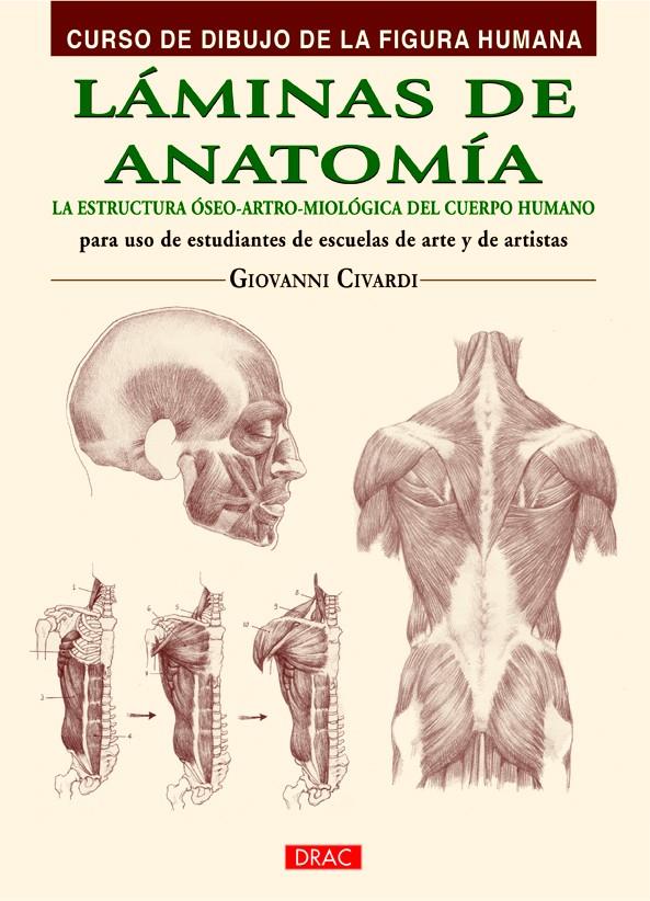 LÁMINAS DE ANATOMÍA | 9788498744798 | CIVARDI, GIOVANNI | Llibreria Ombra | Llibreria online de Rubí, Barcelona | Comprar llibres en català i castellà online