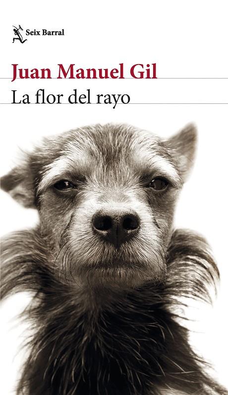 LA FLOR DEL RAYO | 9788432241574 | GIL, JUAN MANUEL | Llibreria Ombra | Llibreria online de Rubí, Barcelona | Comprar llibres en català i castellà online